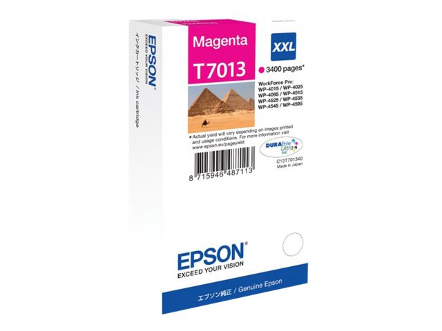 Cartuccia EPSON originale  C13T70134010, T7013