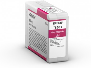 Cartuccia EPSON originale  C13T850300, T8503